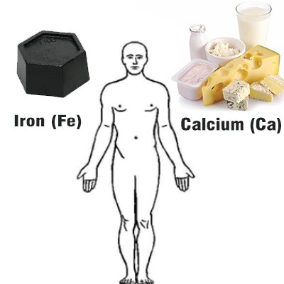 iron & calcium